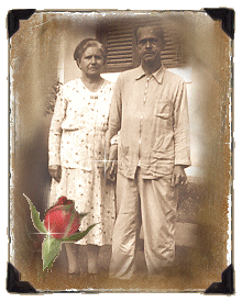 *Grandmom and Grandad - My Grandad's last photo*