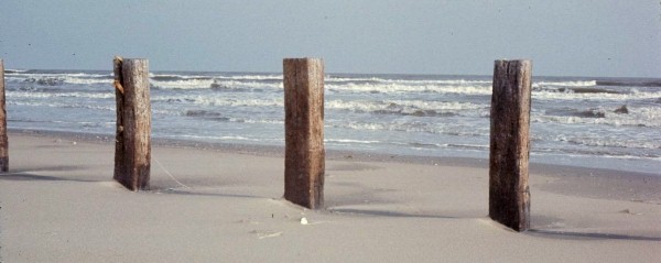 Galveston Beach