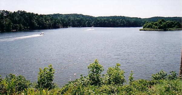 Upstream of SH 27 Bridge